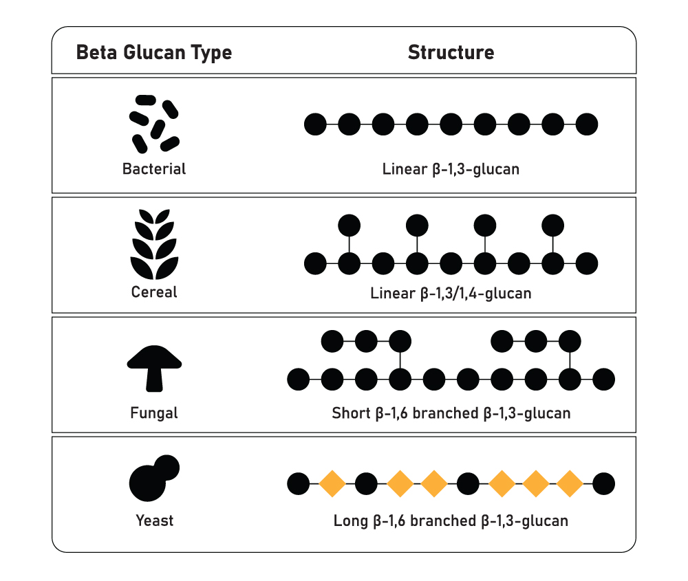 Examples of Beta-glucan structures from oats, mushrooms, bacteria, and yeast for different benefits for skin care Examples of Beta-glucan structures from oats, mushrooms, bacteria, and yeast for different benefits for skin care