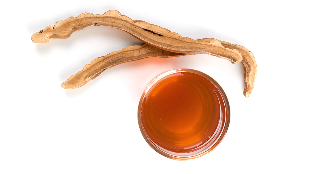 Reishi mushroom extracts in skin care and the skin benefits for hydrating, soothing, and protecting. Reishi mushroom extracts in skin care and the skin benefits for hydrating, soothing, and protecting.